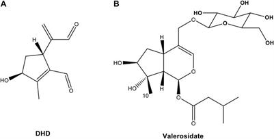 Discovery of a heat-generated compound DHD derived from Patrinia villosa water extract with inhibitory effects on colon cancer cells viability and migration
